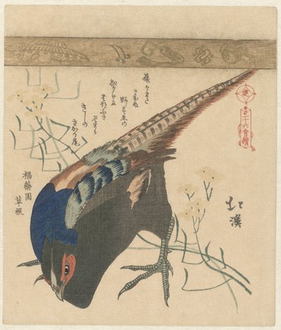 Fagiano da Totoya Hokkei