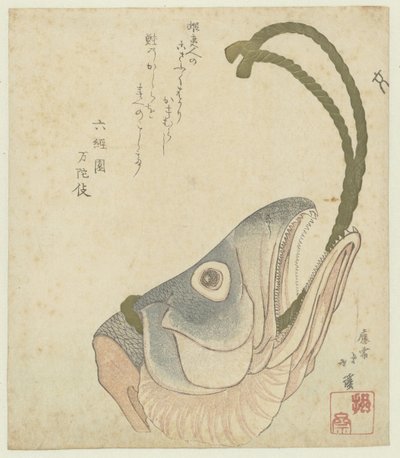 Testa di salmone da Totoya Hokkei