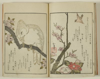 Kyoka hyakucho Kocho da Totoya Hokkei