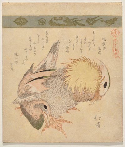 Coppia di anatre mandarine da Totoya Hokkei