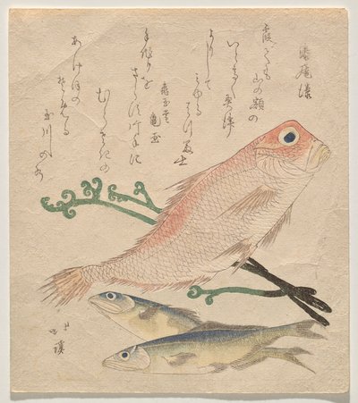 Orata rosa e due piccole trote da Totoya Hokkei
