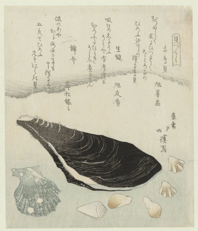 Conchiglie di piviere, cozze crude e conchiglia di broccato da Totoya Hokkei
