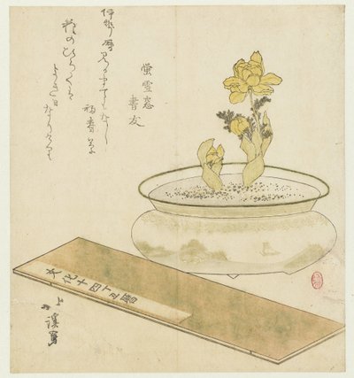 Pianta in vaso e almanacco da Totoya Hokkei