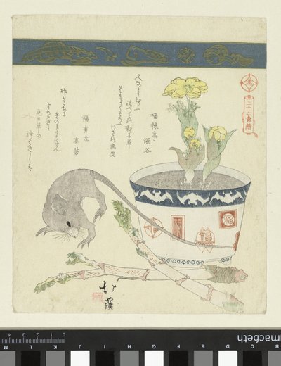 Ratto e ciotola con Adone da Totoya Hokkei