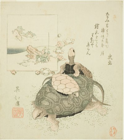 Tartarughe marine e Urashima Taro da Totoya Hokkei