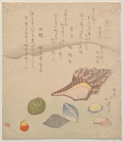 Sette conchiglie al bordo del mare, dalla serie Compendio di conchiglie (Kaizukushi) da Totoya Hokkei