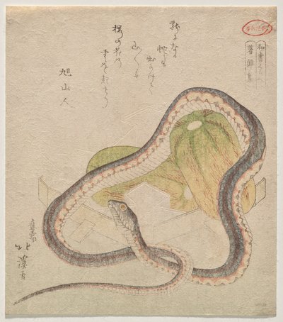 Serpente avvolto intorno a zucche (Chomonj?; abbreviazione per il Kokon Chomonj?) da Totoya Hokkei