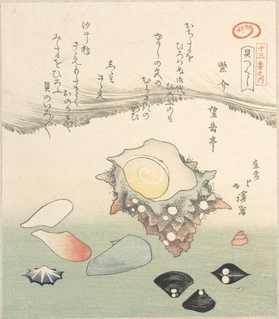 Conchiglia e varie conchiglie da Totoya Hokkei