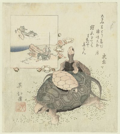 Tartarughe da Totoya Hokkei