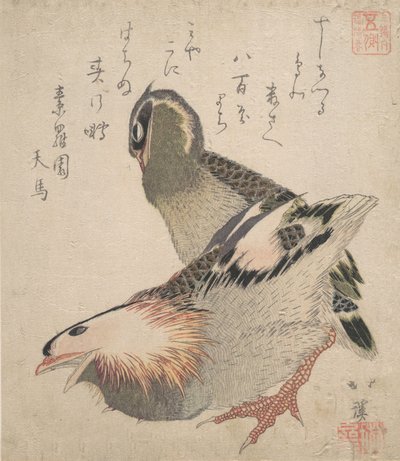 Due uccelli da Totoya Hokkei