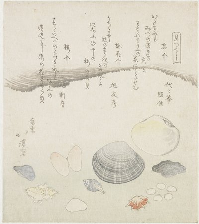 Conchiglia dimenticata, conchiglia di fiori di prugna e conchiglia di ciliegio da Totoya Hokkei