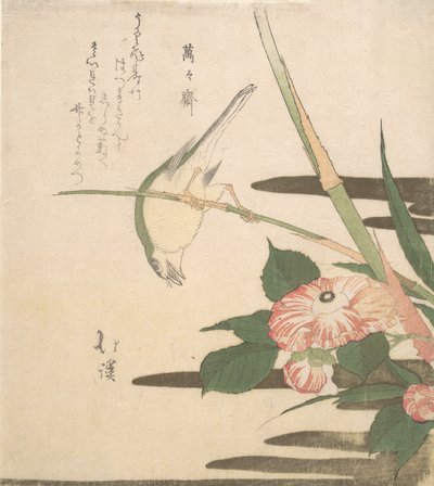 Parula e camelia, ca. 1815-20 da Totoya Hokkei