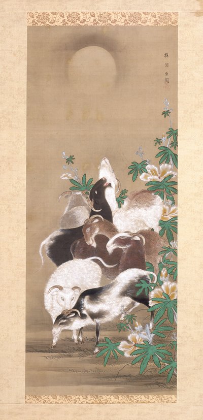 Capre e luna da Toun Kano
