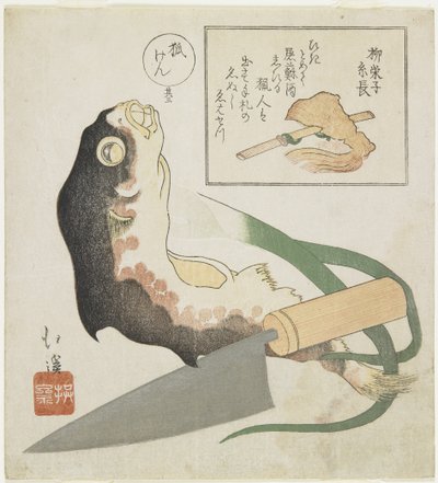 Pesce palla, porro e coltello da cucina da Toyota Hokkei
