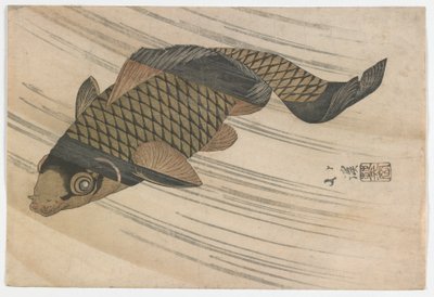 Carpa che Nuota Contro Corrente, periodo Edo, metà 1820 da Toyota Hokkei