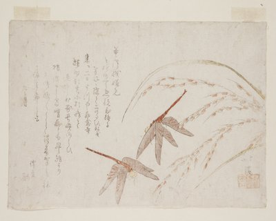 Libellule (stampa xilografica a colori) da Toyota Hokkei