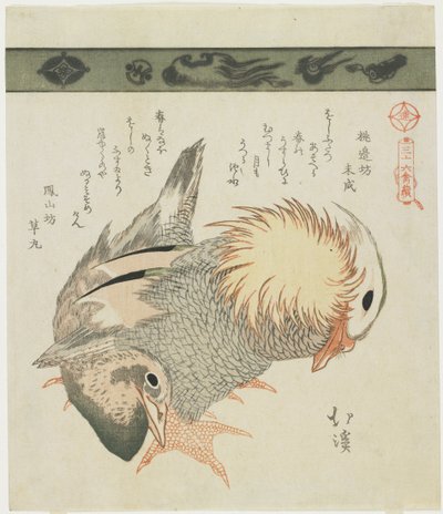 Anatra mandarina e drake, c. 1830 da Toyota Hokkei
