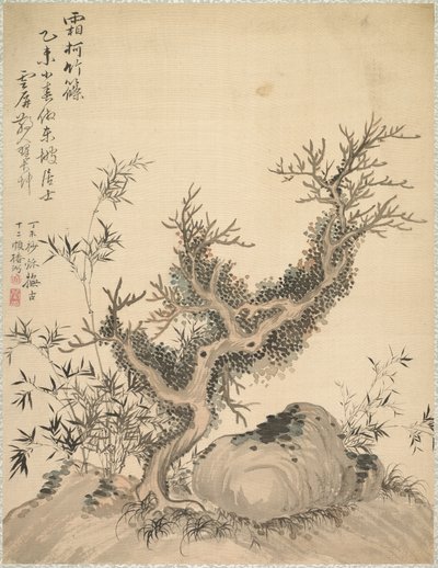 Rami ghiacciati e bambù nano, 1847 da Tsubaki Chinzan