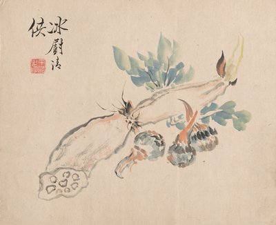 Radice di loto e lingua di serpente da Tsubaki Chinzan
