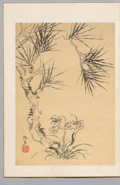 Pino e fungo, XIX secolo da Tsubaki Chinzan