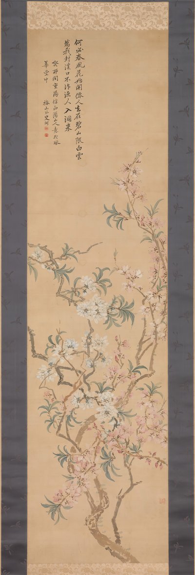 Fiori di Pesco Rossi e Bianchi da Tsubaki Chinzan
