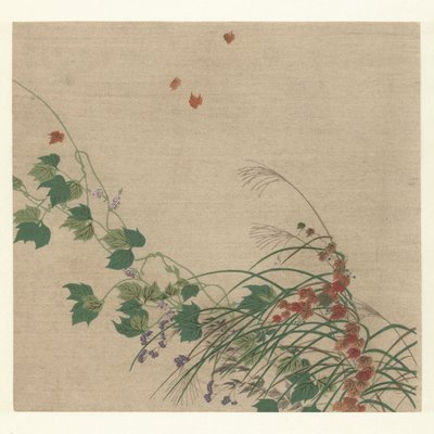Autunno da Tsukioka Kogyo