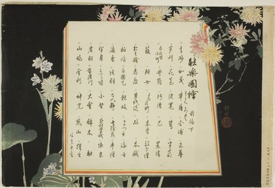 Pagina dell