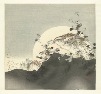 Quaglie da Tsukioka Kogyo