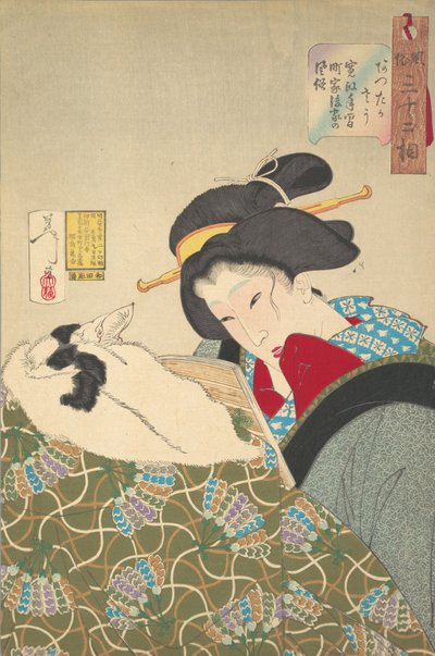 Sentirsi caldo da Tsukioka Yoshitoshi