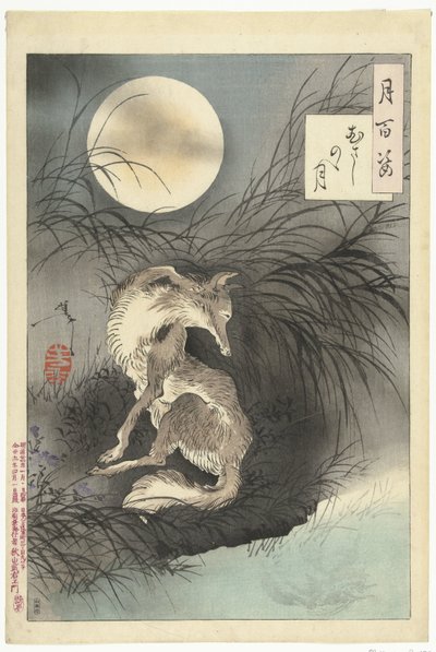 Luna della pianura di Musashi da Tsukioka Yoshitoshi