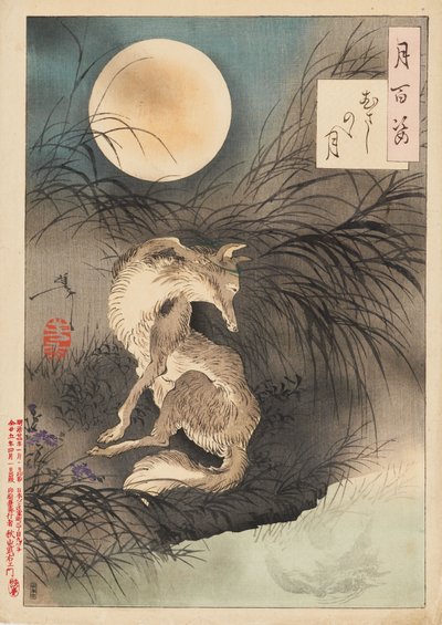 Luna sulla pianura di Musashi da Tsukioka Yoshitoshi