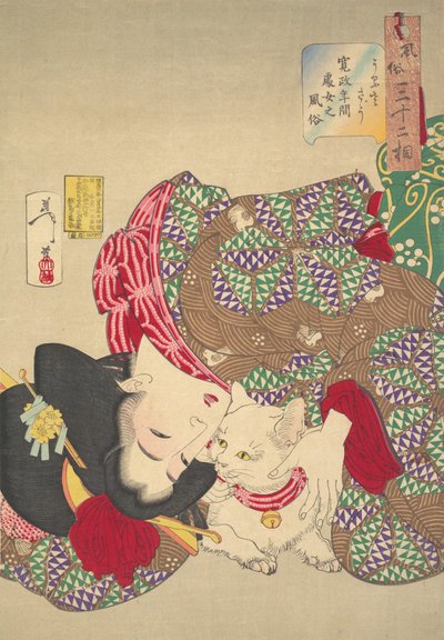 Stuzzicare il gatto, 1888 da Tsukioka Yoshitoshi