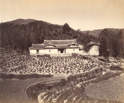 Campo di tè e tempio a Peling, ca. 1869 da Tung Hing.