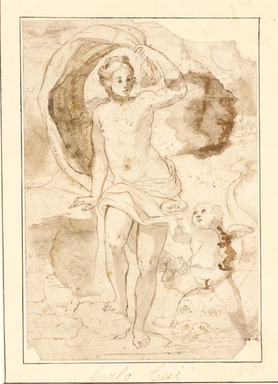 Venere a cui vengono offerte perle in una conchiglia da Cupido su un delfino da Ubekendt