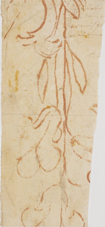 Ornamento vegetale (frammento) da Ubekendt KKSgb7383