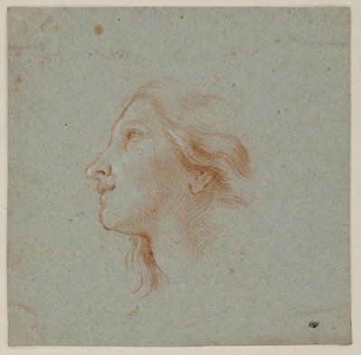 Testa di una giovane donna che guarda verso l