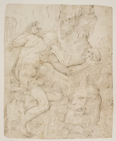 San Girolamo che medita su un teschio da Ubekendt Ubekendt