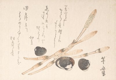 Pianta di Tsukushi e conchiglie di Shijimi da Uematsu Toshu