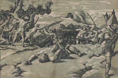 Davide e Golia da Ugo da Carpi
