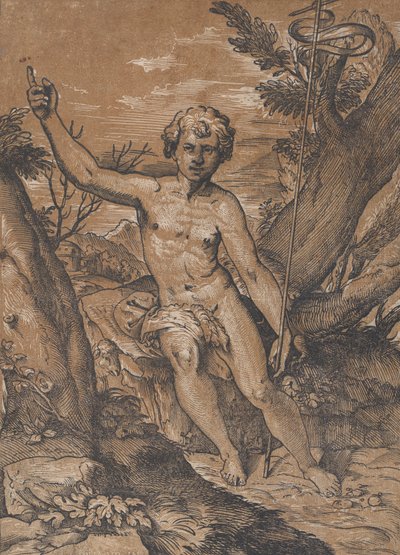 Il giovane San Giovanni Battista nel deserto, ca. 1520-27 da Ugo da Carpi