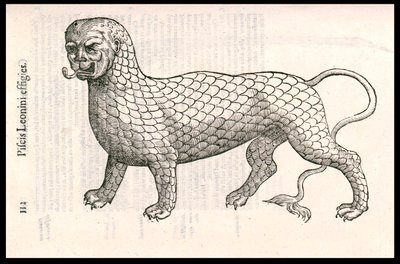 Creatura mostruosa: un leone coperto di scaglie di pesce (o pesce leone). Incisione di Ulisse Aldrovandi (1522-1605), "Monstrorum Historiae", Bologna 1642 da Ulisse Aldrovandi