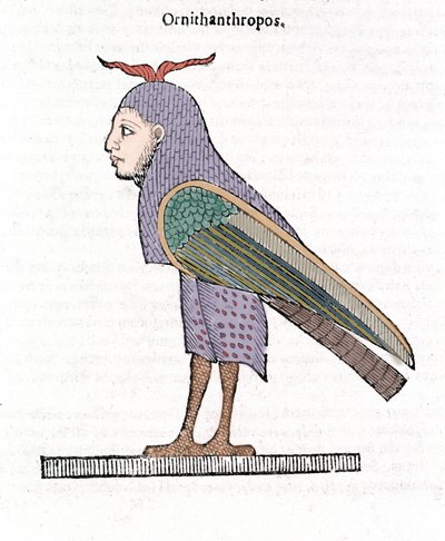 Ornithantropos. Uccello con testa umana. Ulisse Aldrovandi “De monstrorum Historia” Bologna 1642 da Ulisse Aldrovandi