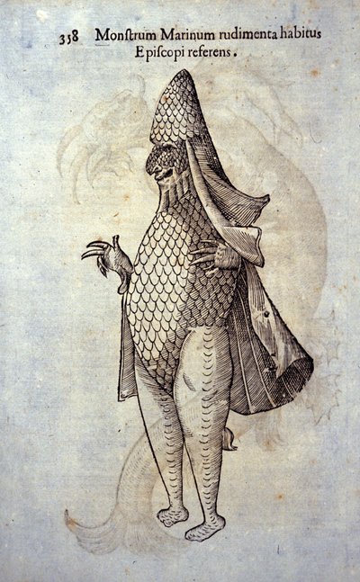 Il vescovo del mare, pesce immaginario e mostro marino di Ulisse Aldrovandi (1522-1605), "Monstrorum Historiae", Bologna 1642 da Ulisse Aldrovandi
