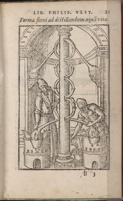 Apparato alchemico Da: Liber de secretis naturae, 1556-1557 da Ulstadius