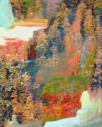 Abstract: Sogno nella foresta autunnale da Uma Gokhale