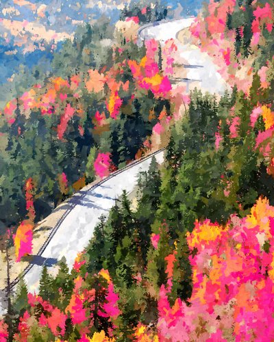 Un viaggio autunnale pieno di vita da Uma Gokhale