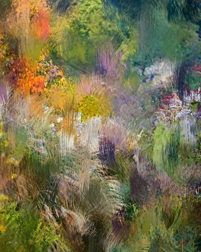 Astratto "Giardino vivace" da Uma Gokhale