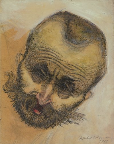 Studio della testa, 1909 da Umberto Boccioni