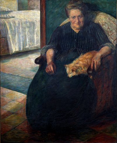 Madame Virginie (La signora Virginia). Ritratto di una donna corpulenta, seduta, con il suo gatto sulle ginocchia da Umberto Boccioni
