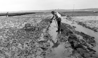 Ostricoltore in Vandea, agosto 1974 da Unbekannt